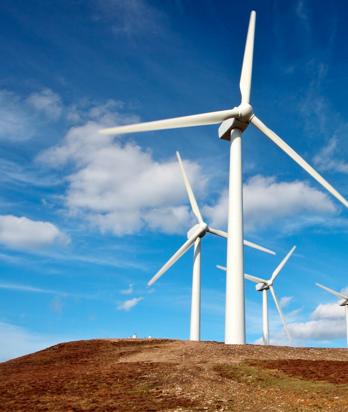 Proarea Tech Community